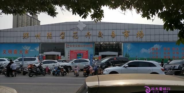 郑州的陈砦花卉市场，全国最大的室内花卉基地，不服来辩