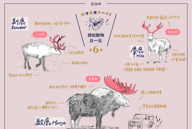 甘肃小区内发现一只“神兽”，头像羊、角像鹿，长得有点像麒麟？